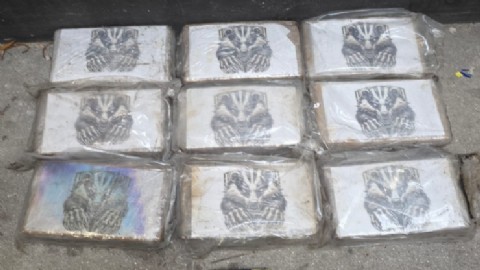 Incautan más de 80 kilos de cocaína en el puerto de Vigo y detienen a dos ciudadanos albaneses