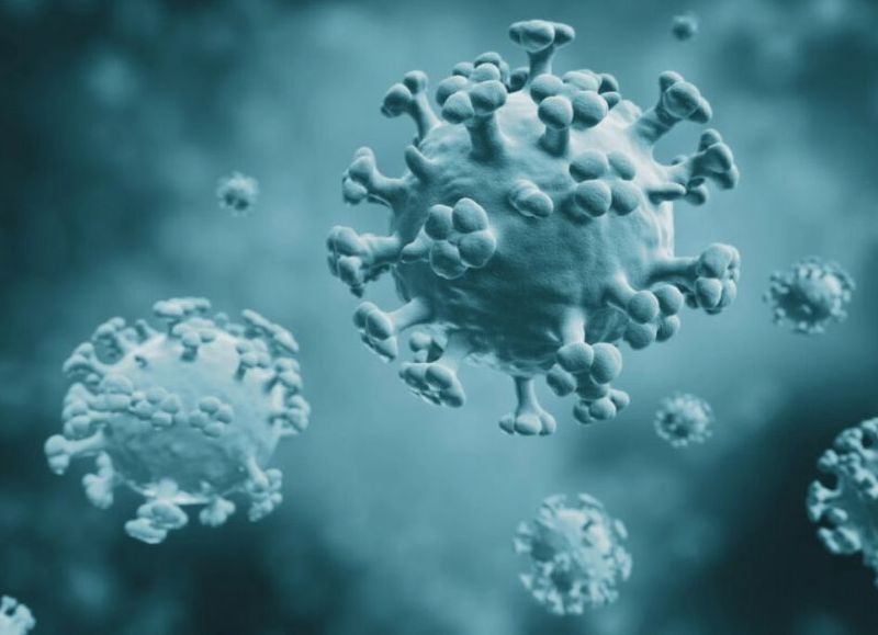 El Ministerio de Salud confirma la llegada de la influenza A H3N2 variante K al pais