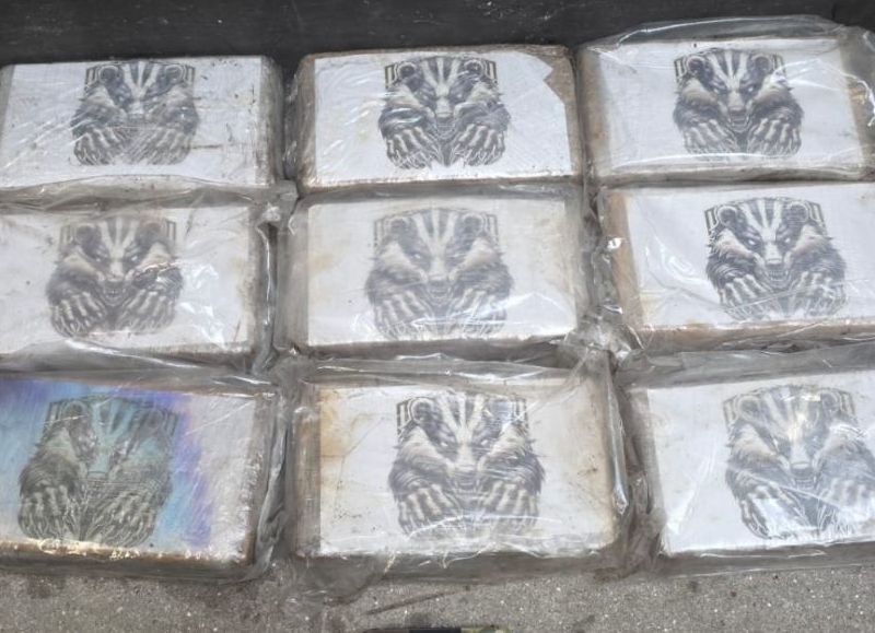 Incautan más de 80 kilos de cocaína en el puerto de Vigo y detienen a dos ciudadanos albaneses